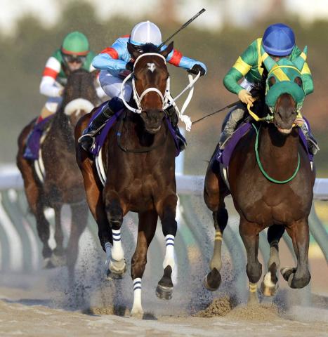 ľǥ֥ϡȥܥɡʺˤȶ礦륽ƥ