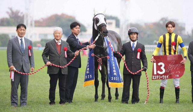 統()ȤΥӤǥ를¹դƨڤäߥƥ꡼ʻơ¼塡