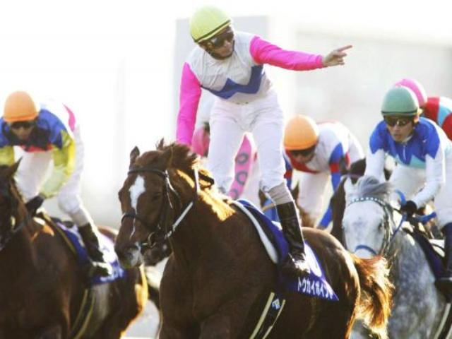 ǯԶϾǹԤ줿ޥԥ󥷥åפͥȥݥ