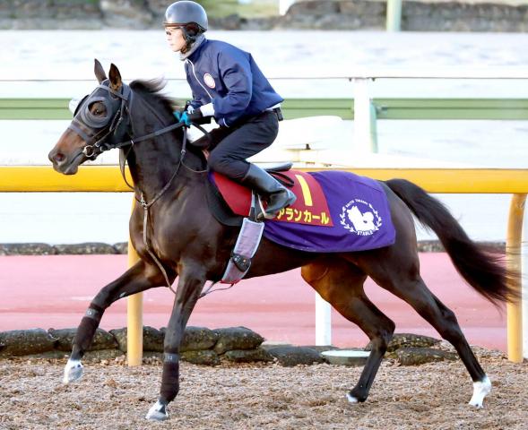 優駿牝馬（オークス）2019】ラヴズオンリーユー無敗で樫の女王