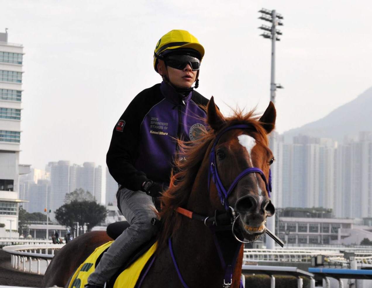 �����ࡼ�ɤ��פ०���󥫡��ͥꥢ��