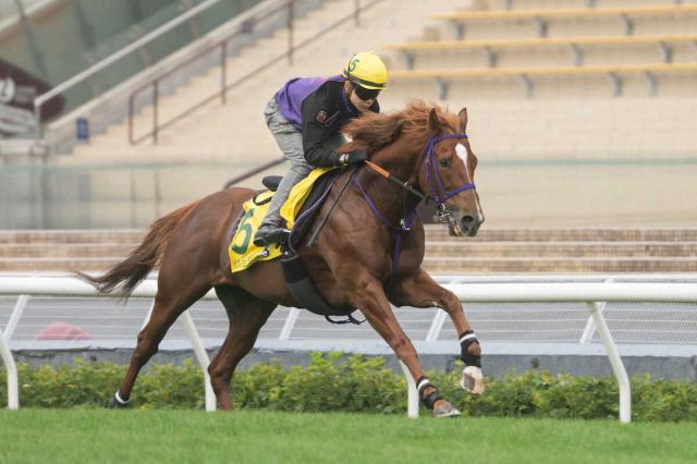 �������ؤ˥���ƥ����Ͼ�μǥ��������ɤ��ڤ륦���󥫡��ͥꥢ���C��The��Hong��Kong��Jockey��Club