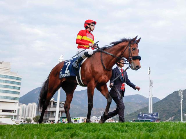 �٥饸�����ڥ�(c)netkeiba�����ơ��ⶶ����