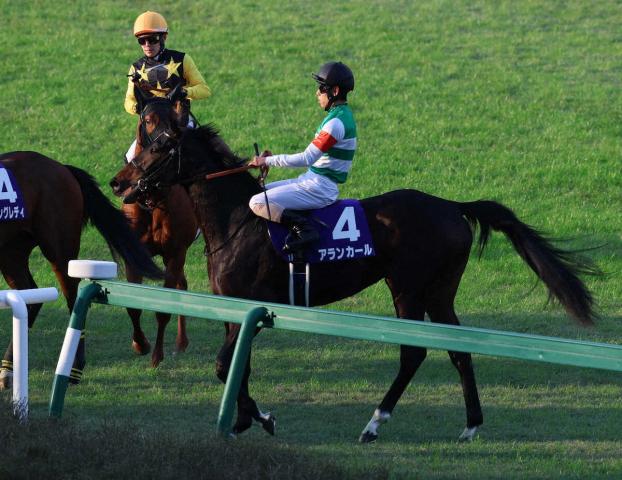 ロードカナロア　スプリンターズステークス　Sサイズ スプリンターズS史上初の父仔制覇へ ロードカナロア産駒の2頭が挑む