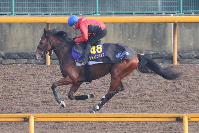 ��ۡ��ץե�S��1�����ɤ�����ź������ؤ�CW���������ɤ��ڤ�򽪤������祦�ʥ󥬥�աʻ��ơ����桡ľ����