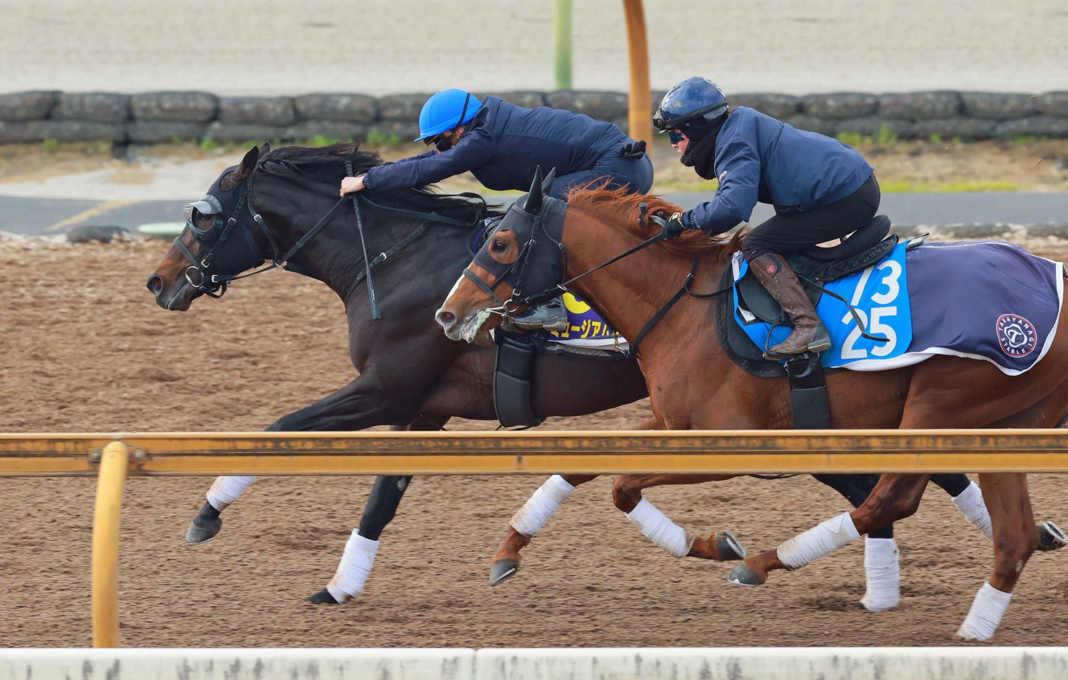 ������ãפ��Ի��פ򤿤����Ф����ߥ塼������ޥ���ʺ��ˡợ�ơ����򹱲�