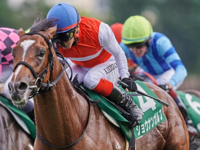 【ホープフルS】「ショウナン」の国本哲秀オーナー ショウナンガルフで10年ぶりのGI制覇なるか