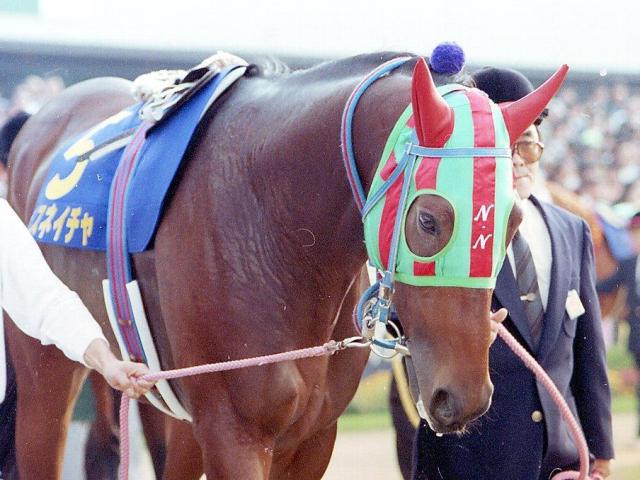 �ʥ����ͥ�����(91ǯ11��ơ��桼�����󶡡�����ֻҤ���)