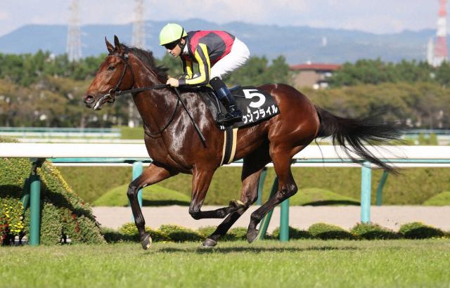 ����֥饤���22ǯ10��ơ�