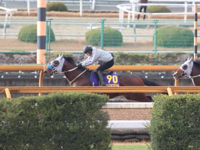 �ᥤ���祦���Х�(���ơ���������)