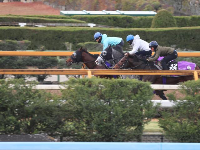 ������˥塼(�̿��������ơ���������)