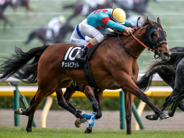 ������ӥ��å�(���ơ�����ͺ��)