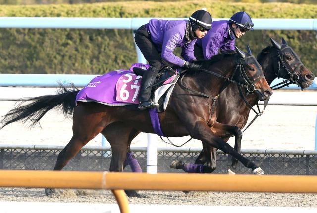 �����κ���ǥǥӥ塼��ޤ��륳�������ʼ�����