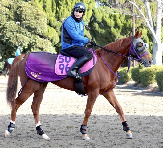 �������滳�ǥǥӥ塼���륨����������