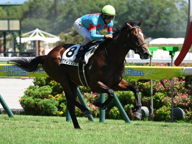 ���������åĥ�(c)netkeiba