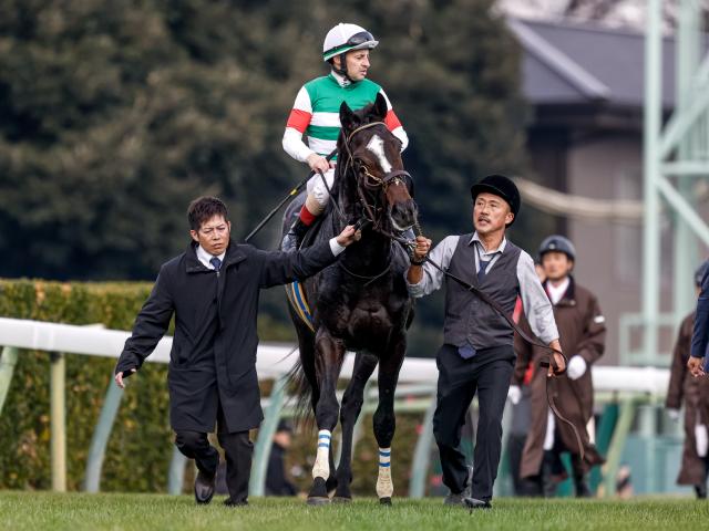 ����ѥ�����顼(c)netkeiba�����ơ�����ͺ��