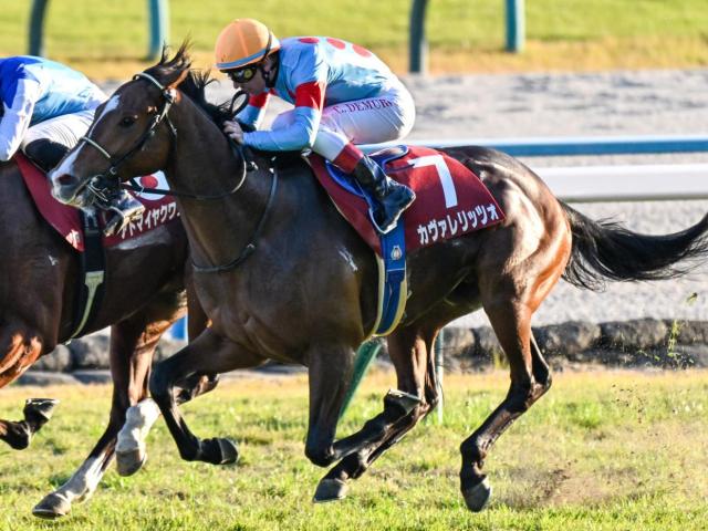 ī����FS2025�˽���ͽ��Υ��������åĥ�(��ǯ11��ơ��桼�����󶡡�����äפ���)