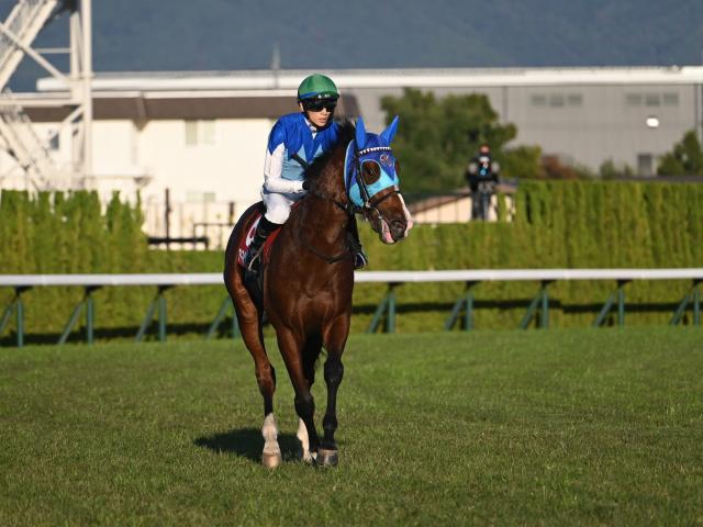 ���ɥޥ��䥯��å�(c)netkeiba