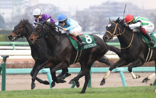 ����������S���������ɥ��åץ��֥饤�ȡ�8�ˡợ�ơ�¼�塡����