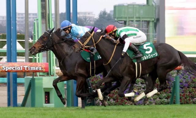 �ɥ��åץ��֥饤�ȡʺ��ˤ������ܤνž����ơʥ���顦���ҡ�Ű��