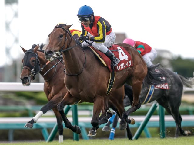 �쥬�쥤��(���ơ�����ͺ��)