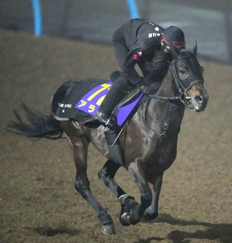 W���������ɤ��ڤ륢�饿