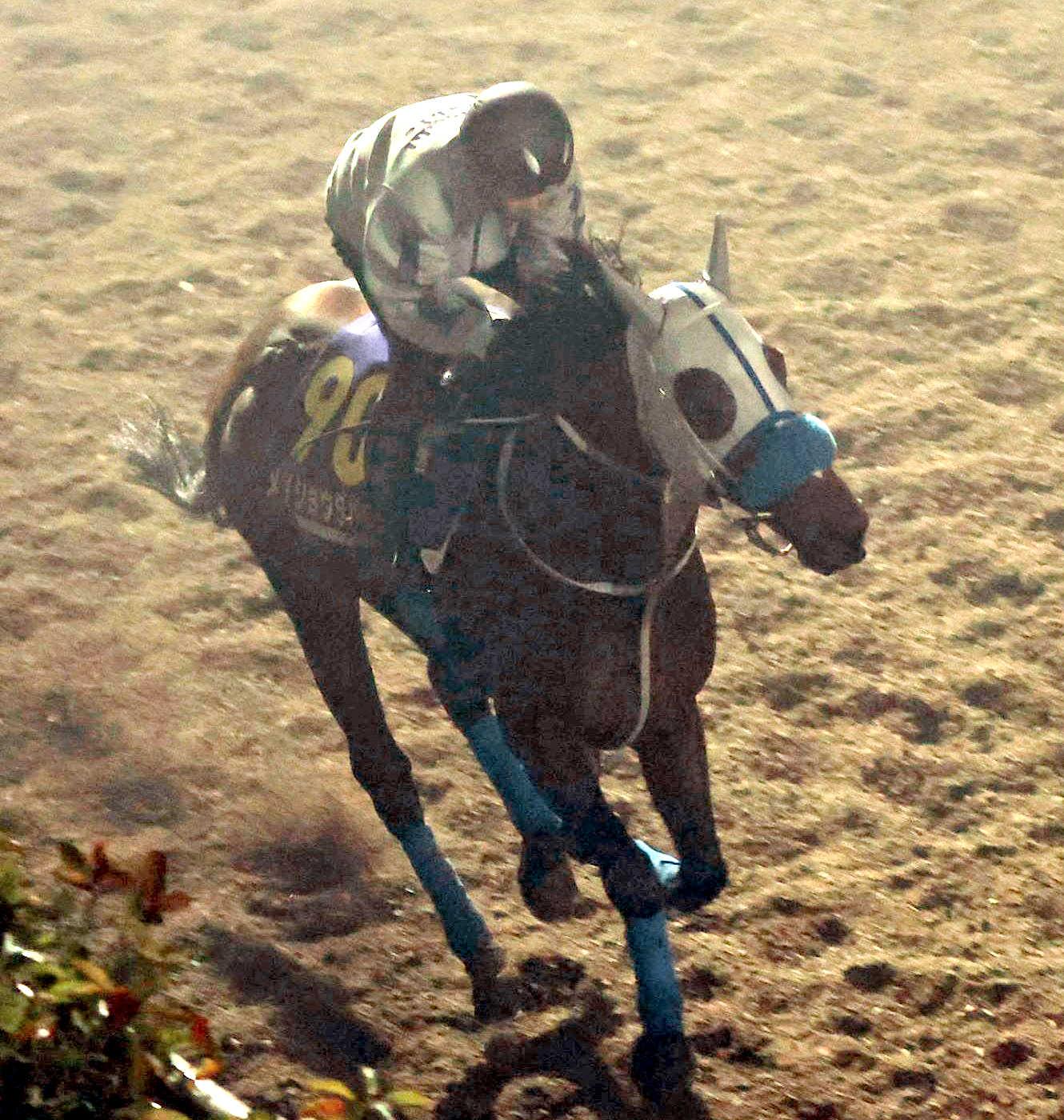 ���ս��ǣ�Ϣ�Ƥؾ徺�ࡼ�ɤΥᥤ���祦���Х�ʻ��ơ����Ķ��ԡ�