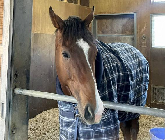 ��˼���������䤹���������åĥ�����ɽ���ơ�