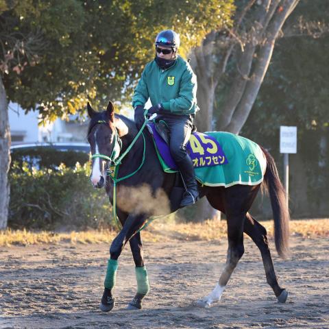 ����ե���