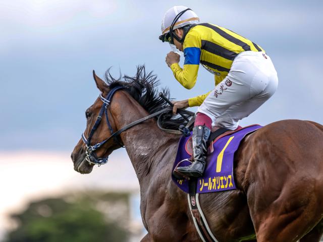 �����륪�ꥨ��(���ơ�����ͺ��)