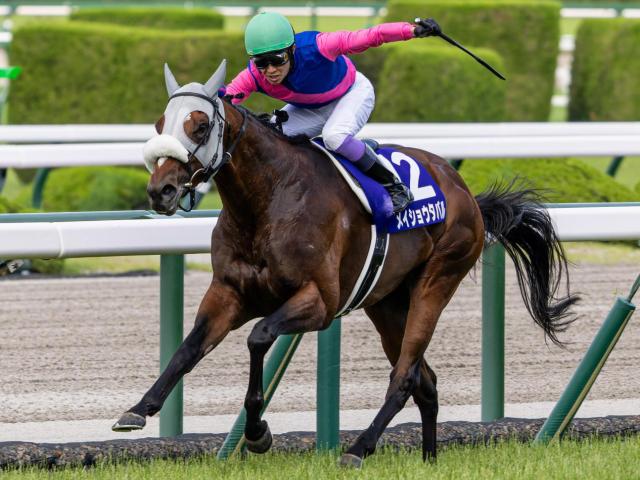 ͭ�ϵ�ǰ2025�˽���ͽ��Υᥤ���祦���Х�(��ǯ6��ơ��桼�����󶡡��������ߤ���)