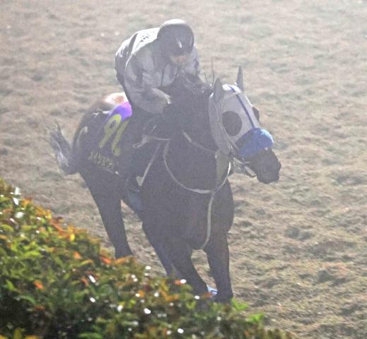 ��ϩ���夬��ᥤ���祦���Х�