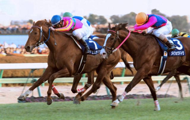 ��ͭ�ϵ�ǰ����̾����ּۡ��Ԥ����׵�����Ĥ��᤿��˾Ū�ʾ����������������ӤǶðۤ�ǯ��8��8��!��ʪ������п�