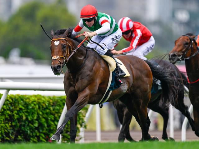 【AI予想・有馬記念】今年の有馬記念は大荒れの予感!? 波乱を示唆する人工知能の本命候補とは