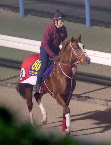 ���󥨥�ڥ顼