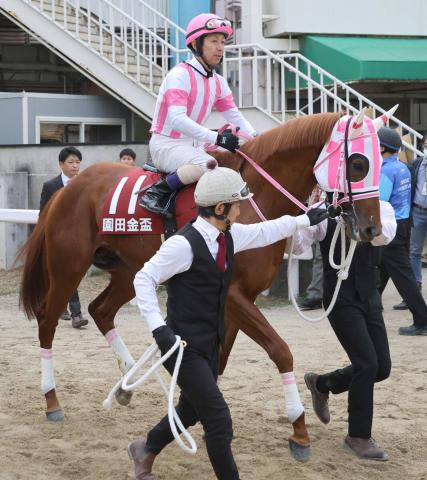 名古屋大賞典に出走予定だった兵庫3冠馬オケマルが馬体故障のため出走取り消し