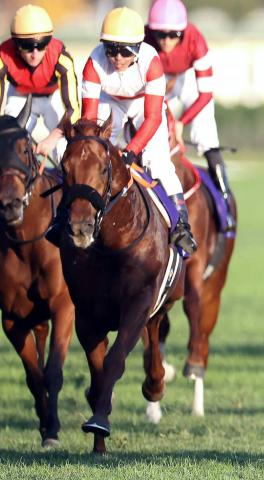 ��ͭ�ϵ�ǰ��Ķ�֥���ǥ��ƥåץ졼���ԡۥ졼�ƥ��󥰤Ǥ��̡�JC�ȤΡ�Ȣ�����ɤ�������