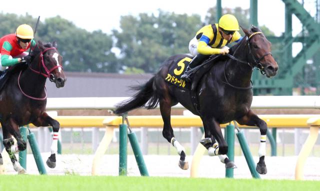 �ڥۡ��ץե�S��Ķ�֥���ǥ��ƥåץ졼���ԡۺǹ�ɾ�������Ӥ���������ǽ�Ϥ���������ꥹ�ƥåɾ�����