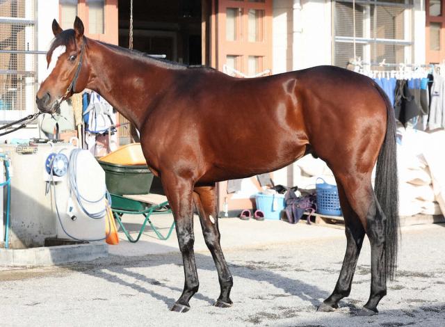 ��ͭ�ϵ�ǰ�����ο��ǡ�ᥤ���祦���Х�