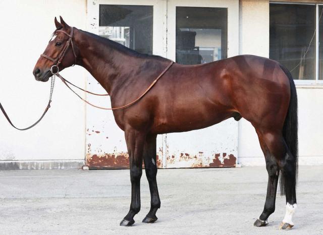 ��ͭ�ϵ�ǰ�����ο��ǡ䥿���ƥ�������