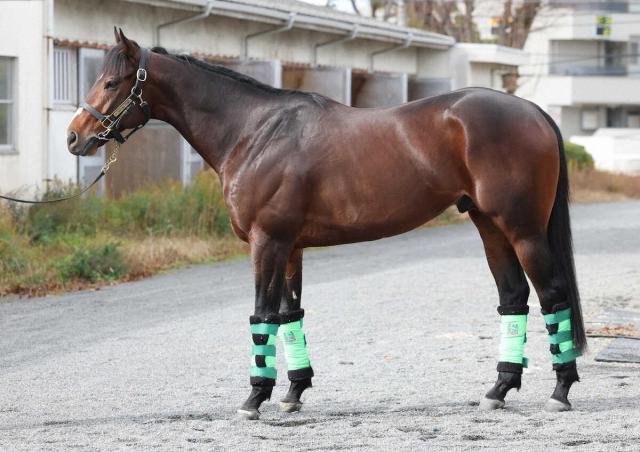 ��ͭ�ϵ�ǰ�����ο��ǡ䥨��ȥ�Х�����