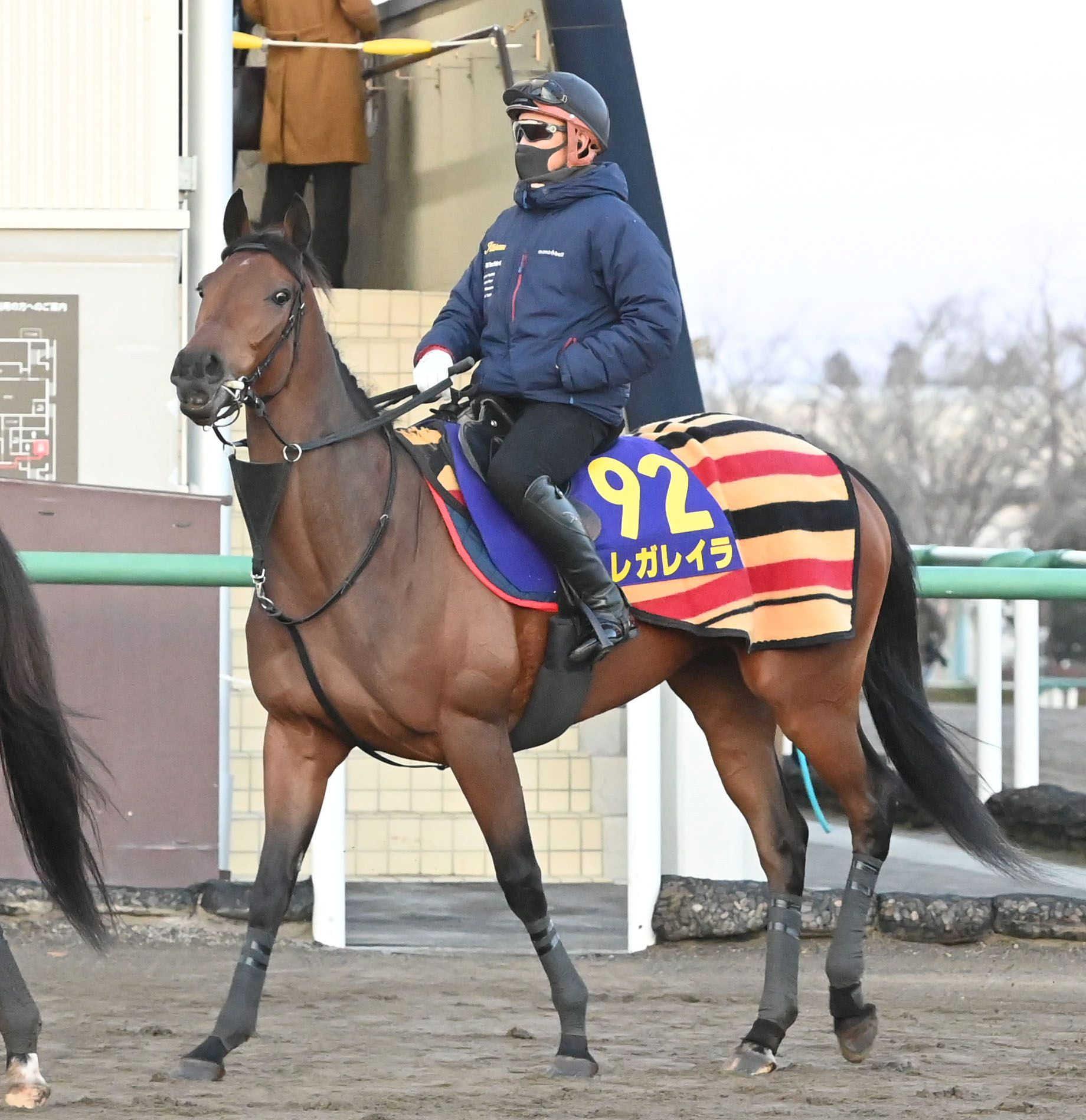 ��ͭ�ϵ�ǰ�ۥ쥬�쥤�顡�˾�����Ϥ�Ϣ�Ƥػ볦�ɹ����ǡ������ǥȥģ��̡�����ǯ�Ƽԥ�������֥�å����¤֣����ݥ����