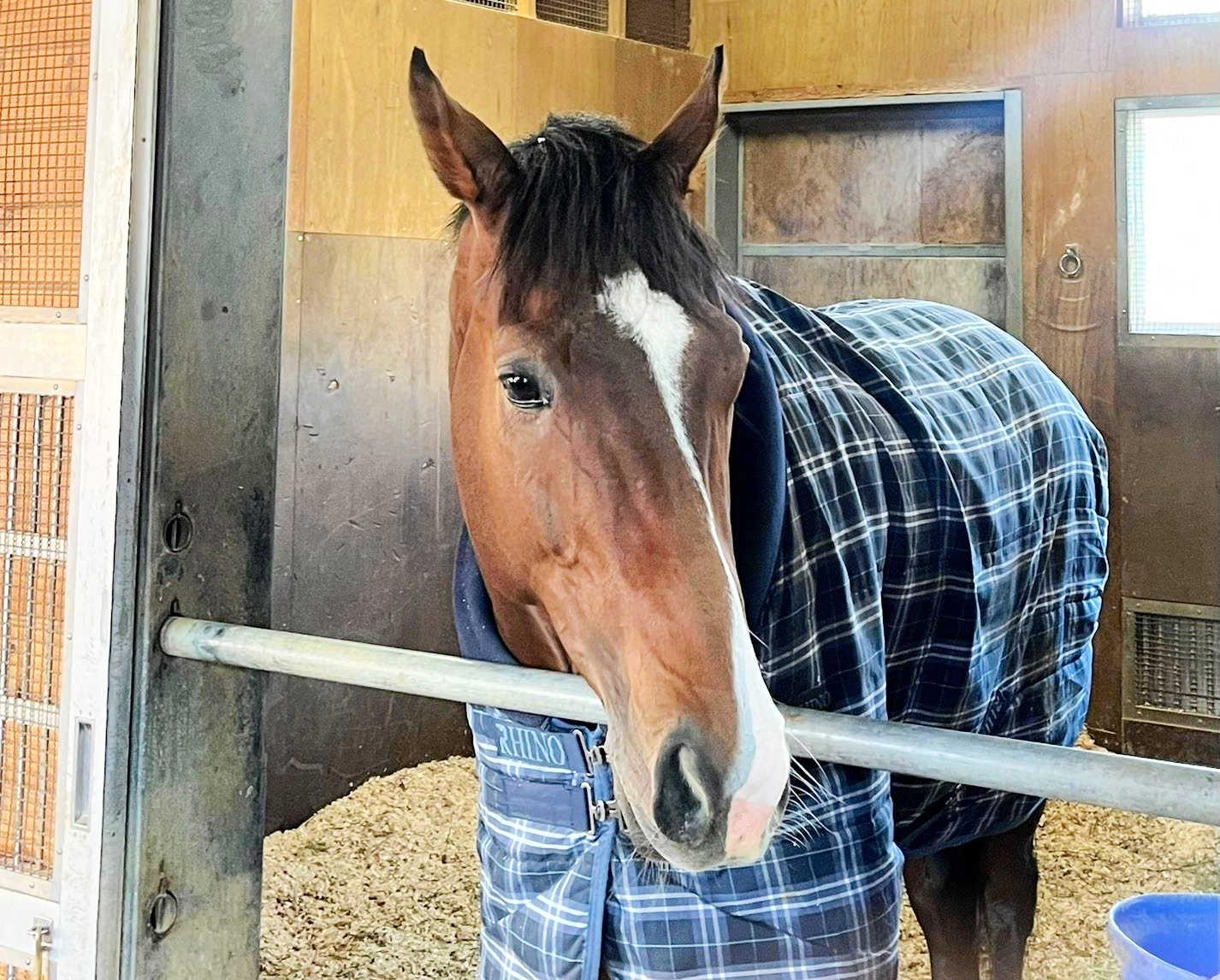 ���������åĥ��������Хڥ��ꡡ�رġ֤ޤ��ޤ��ɤ��ʤ�׺���˴��ԡ�ī���գƣӰ�������