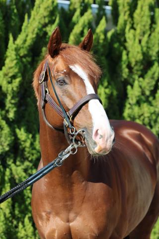 ����饤��������