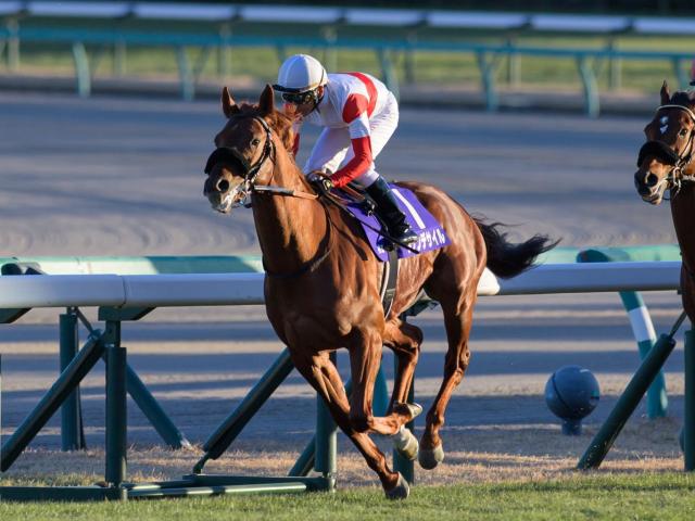 【有馬記念の過去10年データ】「前走GI」「前走5着以内」がキーワード