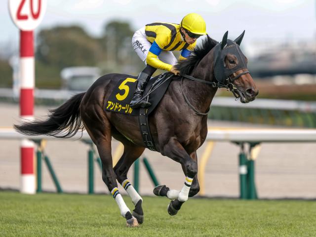 �ڥۡ��ץե�S���굳��ۥ���ɥ����������ľ������ꡢ���祦�ʥ󥬥�դ���ź���쵳��