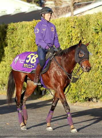 �ڥۡ��ץե�S����������˥塼������ꥢ1���G1ĩ�ͧƻĴ���ա���ǯ�ϥ����ӡ����ܻؤ��Ƥ���������