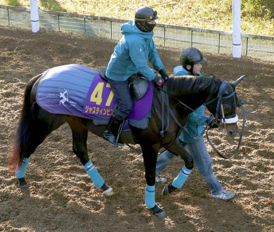 �ڥۡ��ץե�S�ۥ��㥹�ƥ���ӥ�����³����G1���Ƥ�!���㥵���ȥ���ʡ��ꥢ��ô�����Ƥ����Ȳ�Ĵ���ա֤��꤬�����������Ǥ��äѤ���