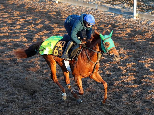 「ゲートは抜群に速い」ロイヤルファミリー役が有馬記念前日にデビューへ　陣営も自信のブレイヴソルジャー