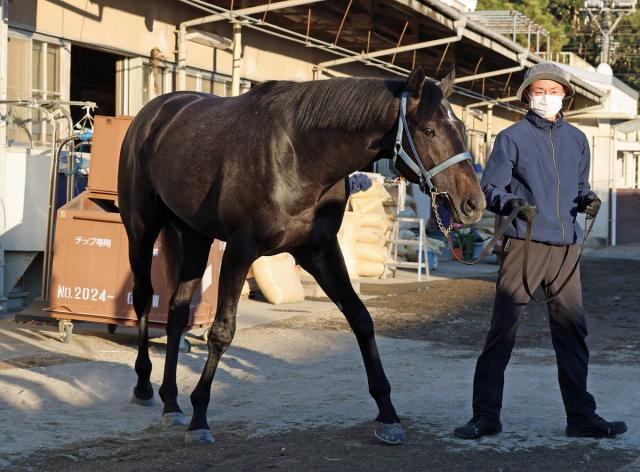 【注目馬動向】朝日杯FSで5着のリアライズシリウスは放牧を挟み共同通信杯へ